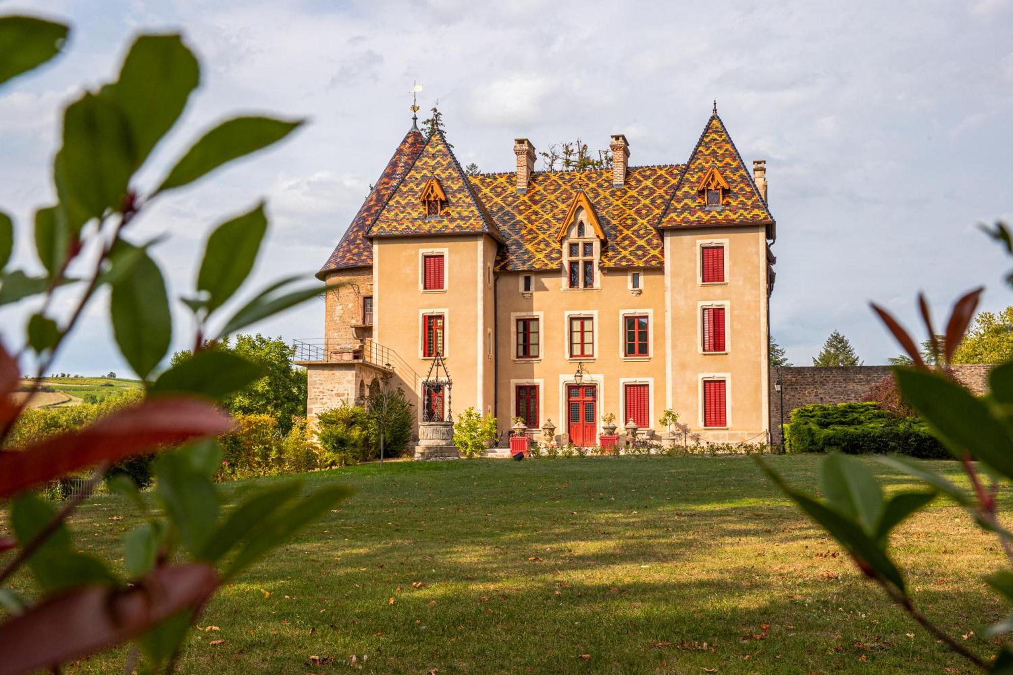 Chateau De La Grange Saint-Emiland Buitenkant foto
